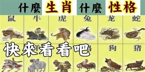 12生肖性格